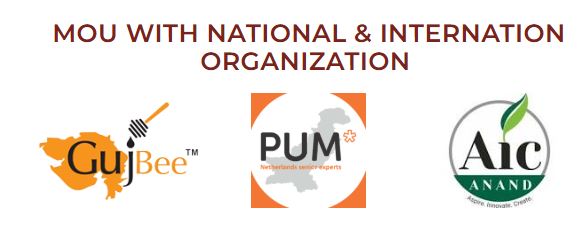 Company Image