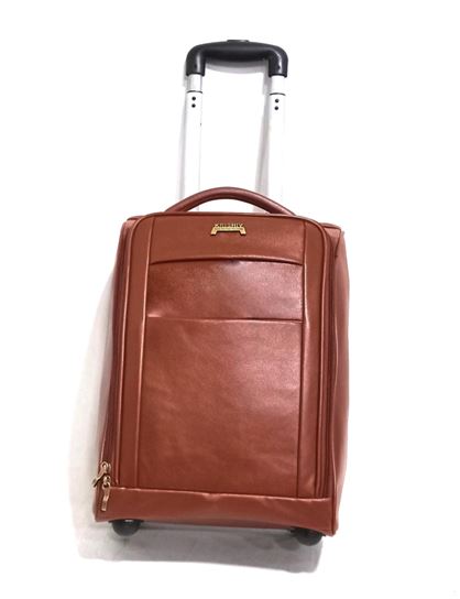 Trollry Suitacse 2 Wheel Travelling Luggage Hot Selling 2025